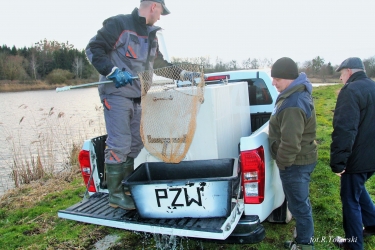 Zarybianie Zakrzewka I