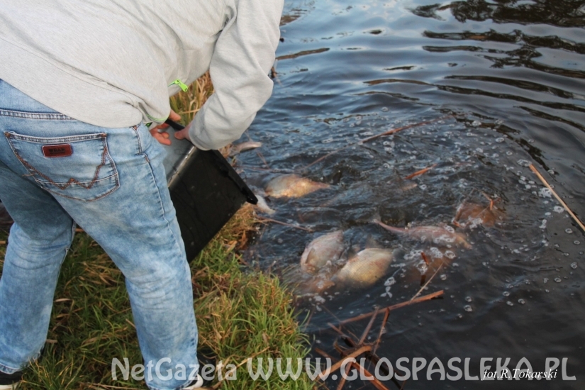 Zarybianie Zakrzewka I
