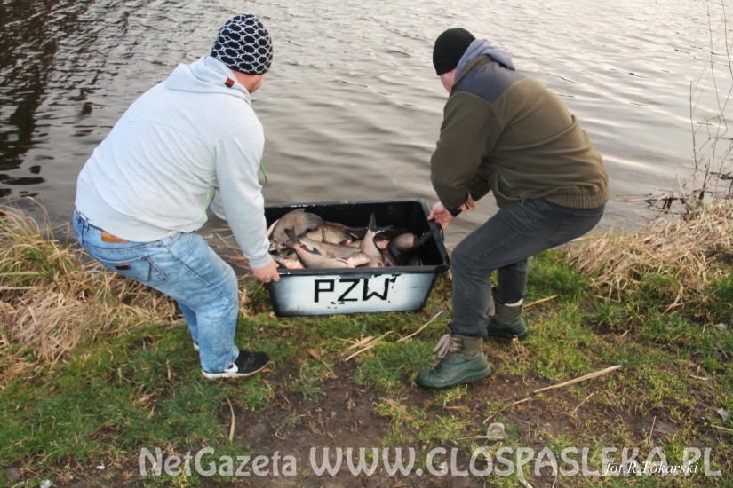 Zarybianie Zakrzewka I