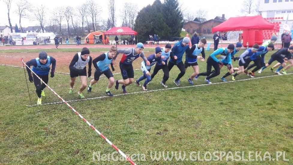 Srebro Adama Ochnika