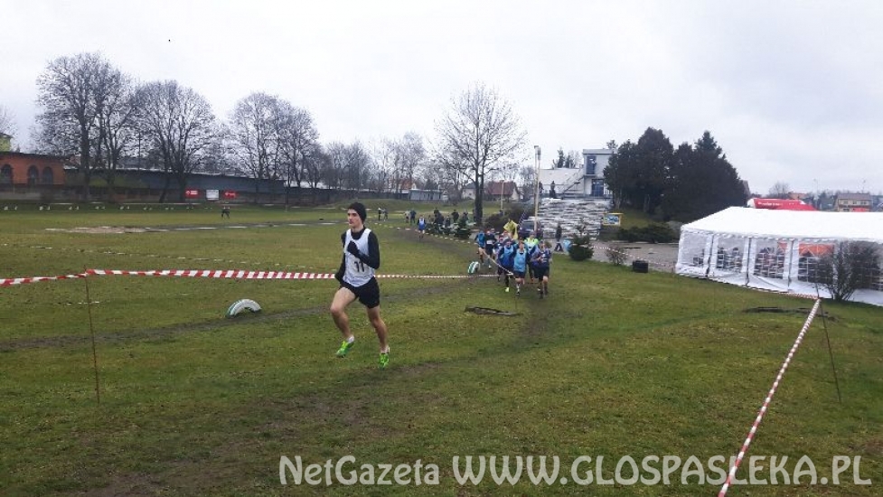 Srebro Adama Ochnika