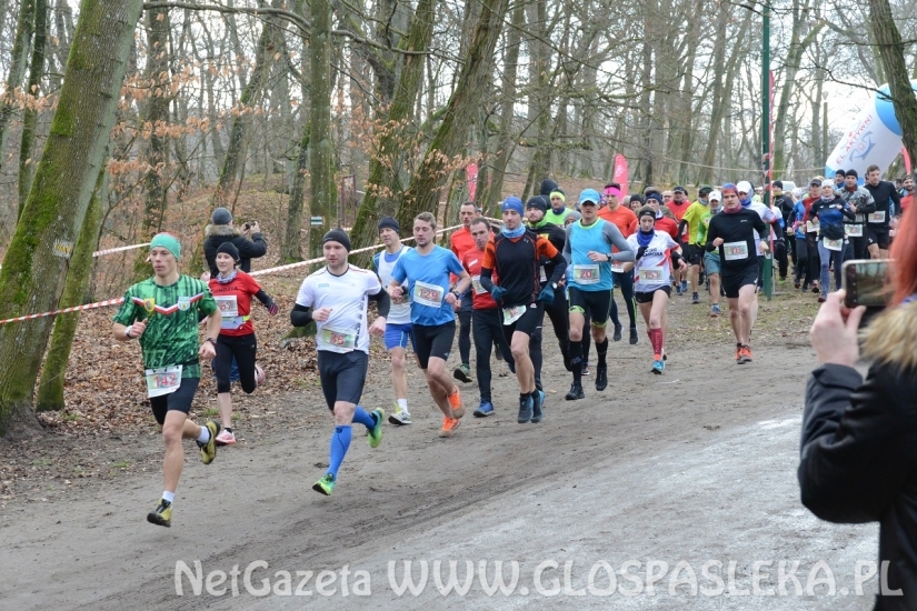 Pasłęczanie biegali w Elblągu