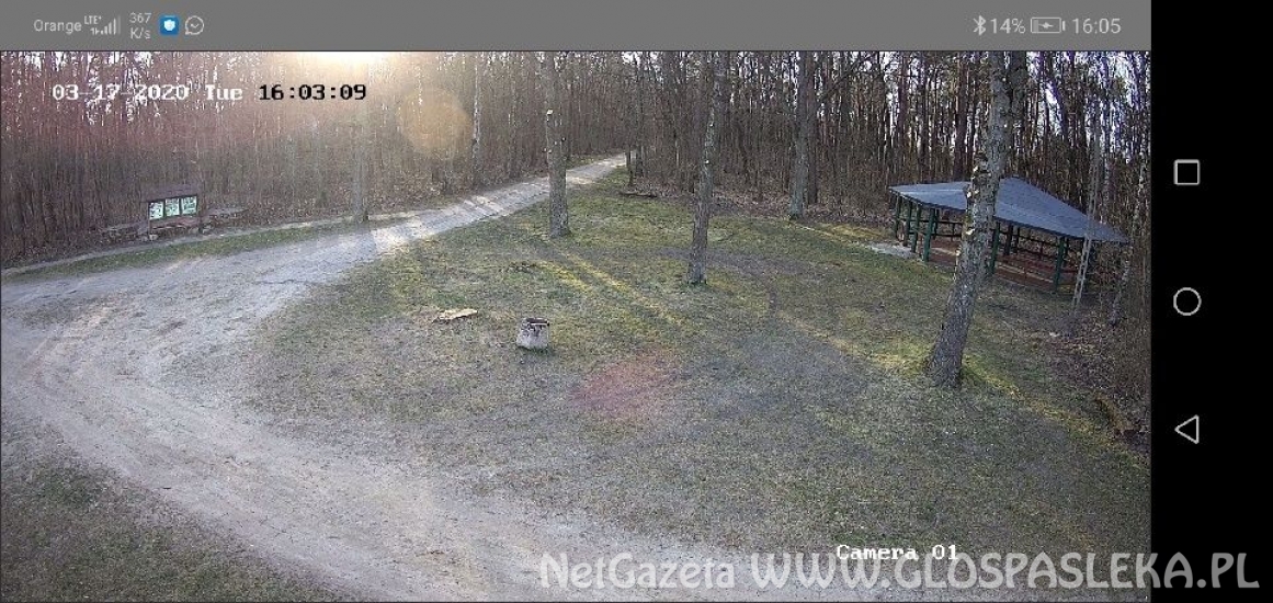 Kamery w Parku Ekologicznym