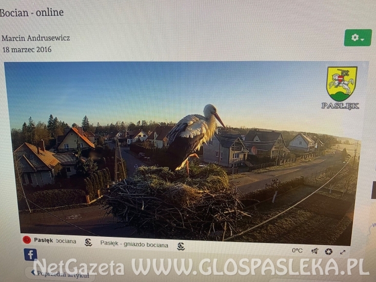 Bocian z ul. Partyzantów