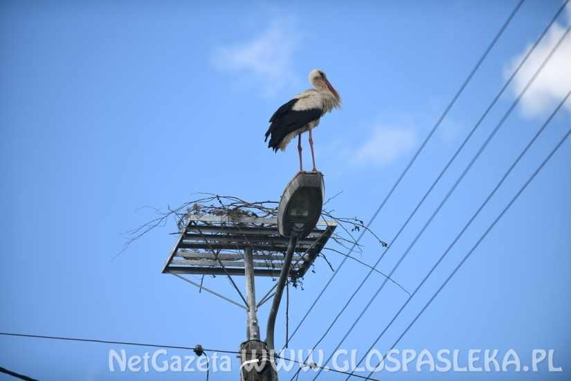 Błyskawiczna akcja energetyków