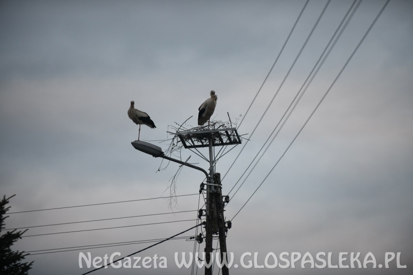 Błyskawiczna akcja energetyków