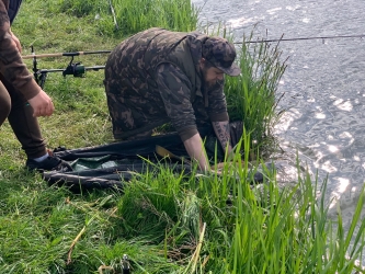 Karpie na truskawkę