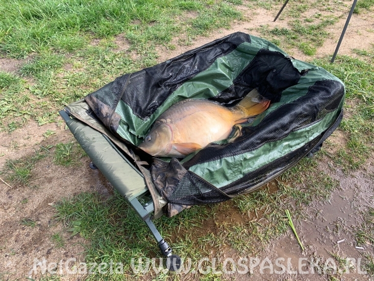 Karpie na truskawkę