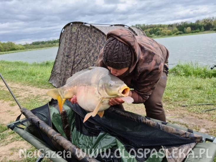 Karpie na truskawkę