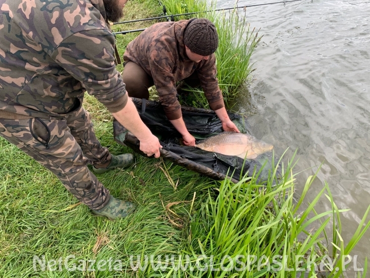 Karpie na truskawkę