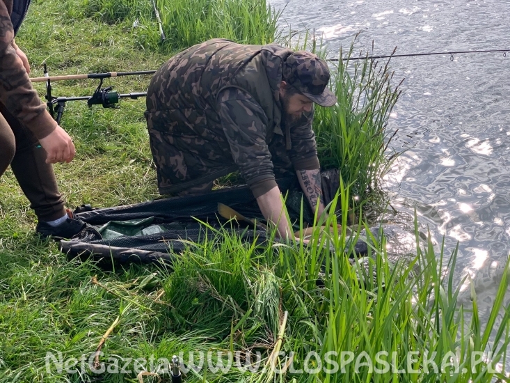 Karpie na truskawkę