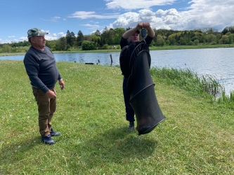 Karp na przynętę z czosnkiem