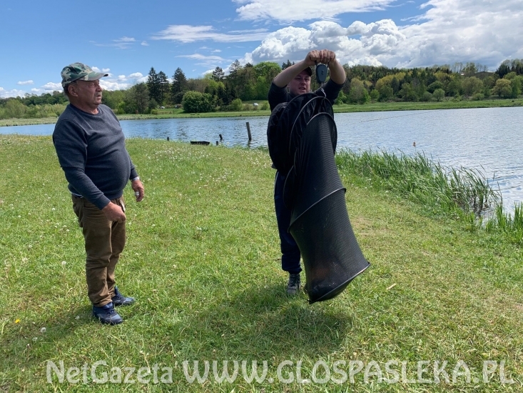 Karp na przynętę z czosnkiem