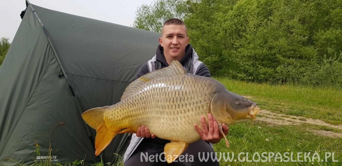 Kolejne okazy z Zakrzewka II