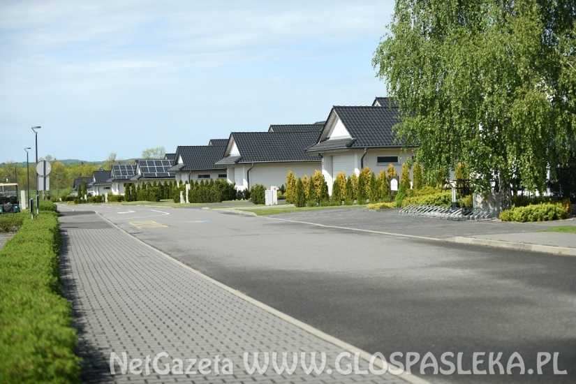 Golf - życie wraca do normy