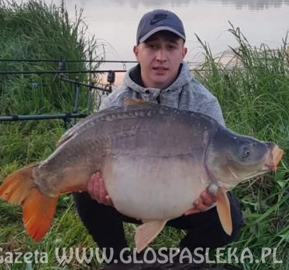 Patent na karpie i amury