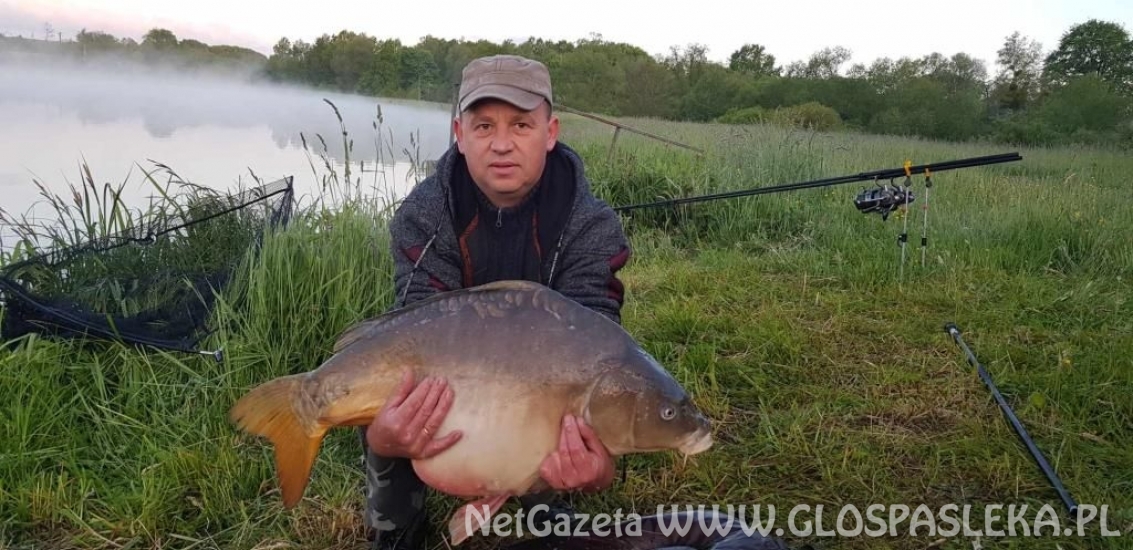 Patent na karpie i amury