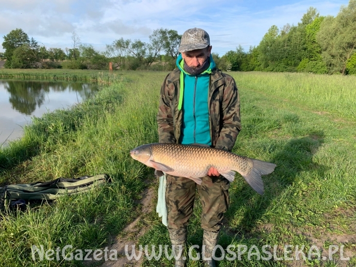 Patent na karpie i amury