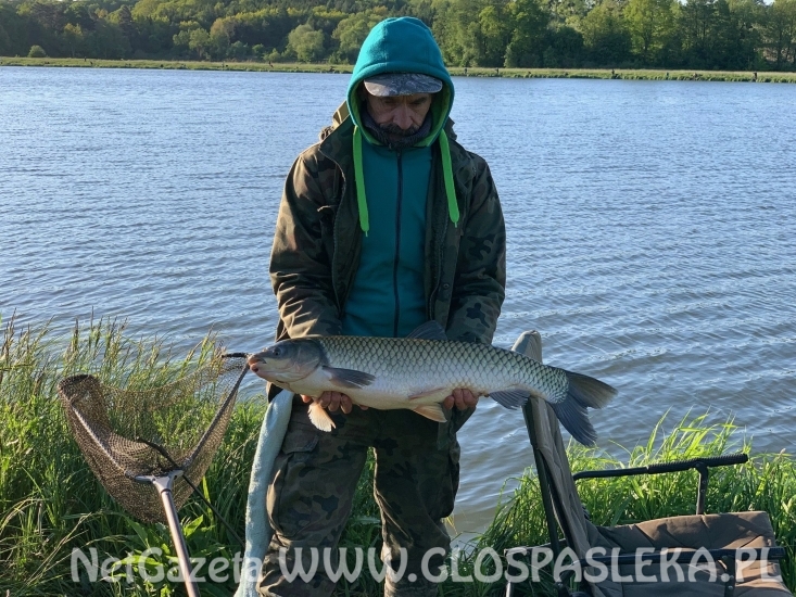 Patent na karpie i amury