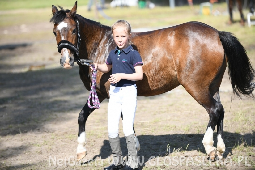Biskupiec - zawody konne