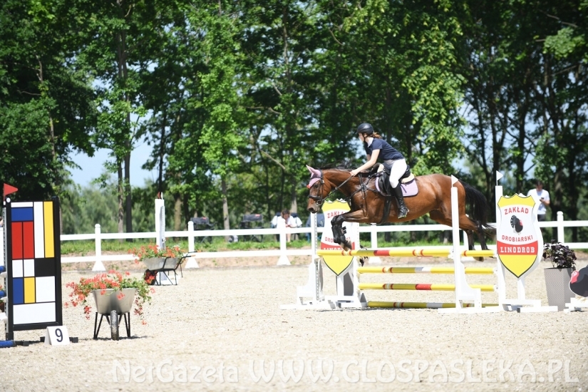 Biskupiec - zawody konne