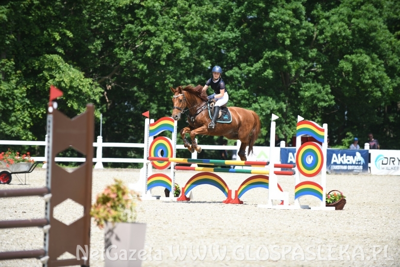 Biskupiec - zawody konne