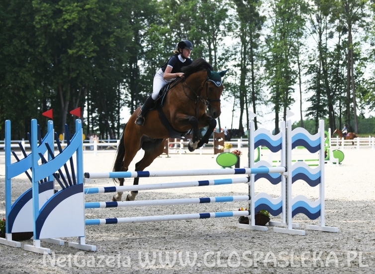 Biskupiec - zawody konne