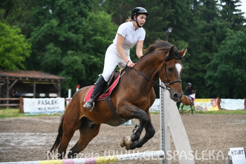 Parkur Otwarty 20.06.20