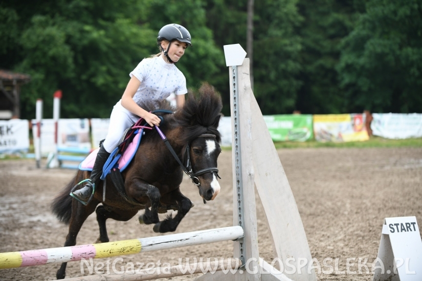 Parkur Otwarty 20.06.20