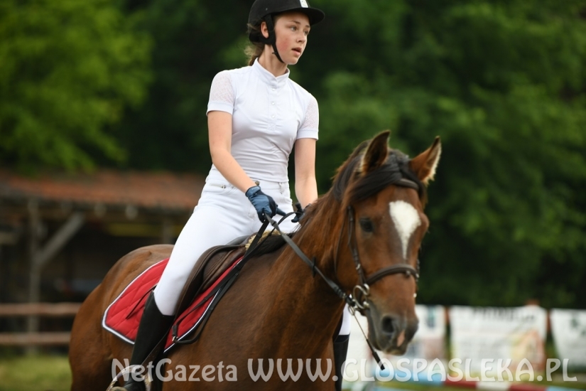 Parkur Otwarty 20.06.20