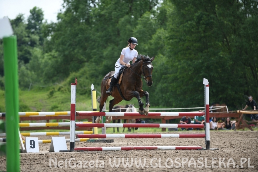 Parkur Otwarty 20.06.20