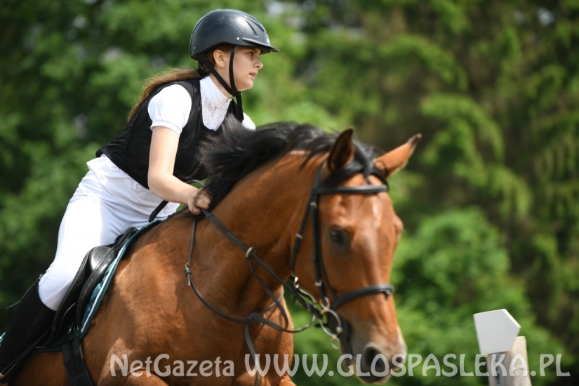 Parkur Otwarty 20.06.20