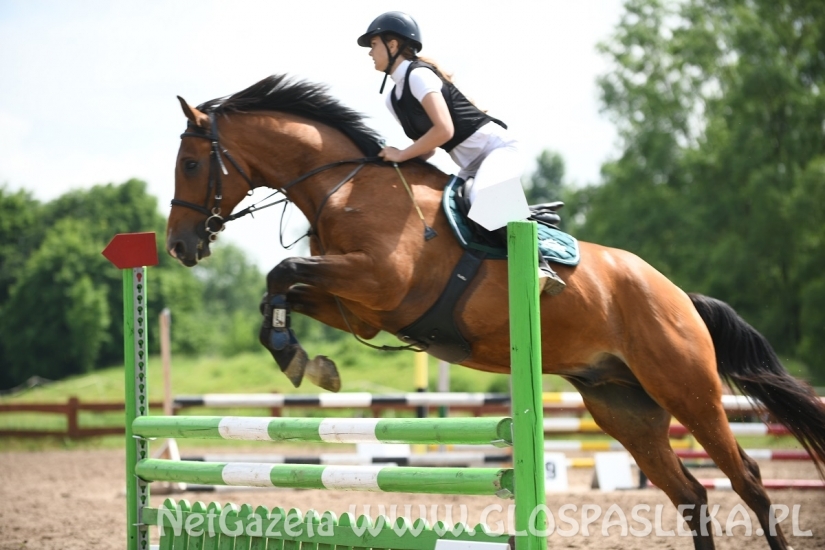 Parkur Otwarty 20.06.20