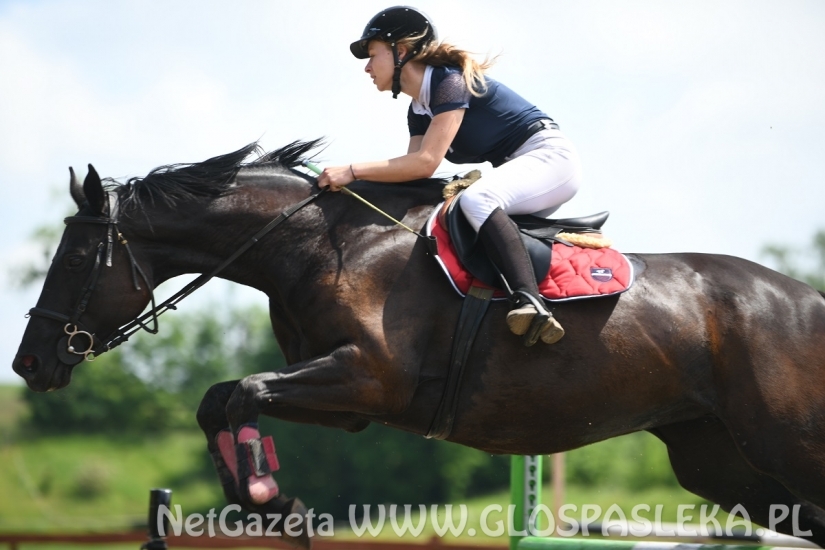 Parkur Otwarty 20.06.20