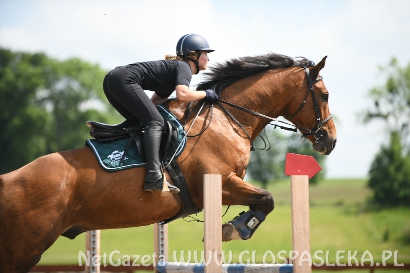 Parkur Otwarty 20.06.20