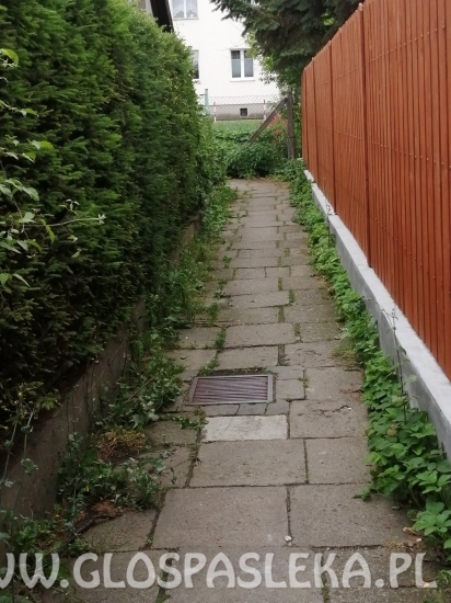 List – zapomniana ścieżka