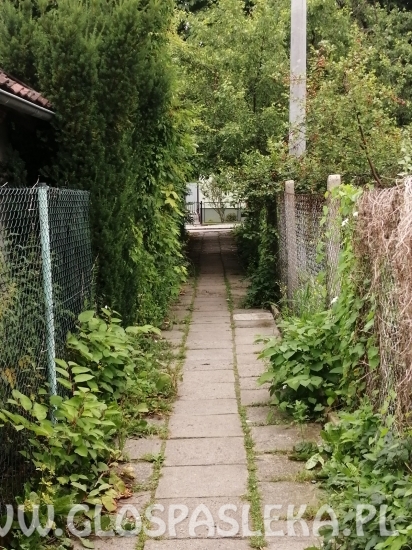 List – zapomniana ścieżka