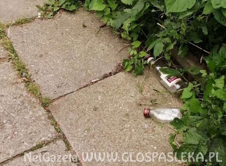 List – zapomniana ścieżka