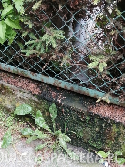 List – zapomniana ścieżka