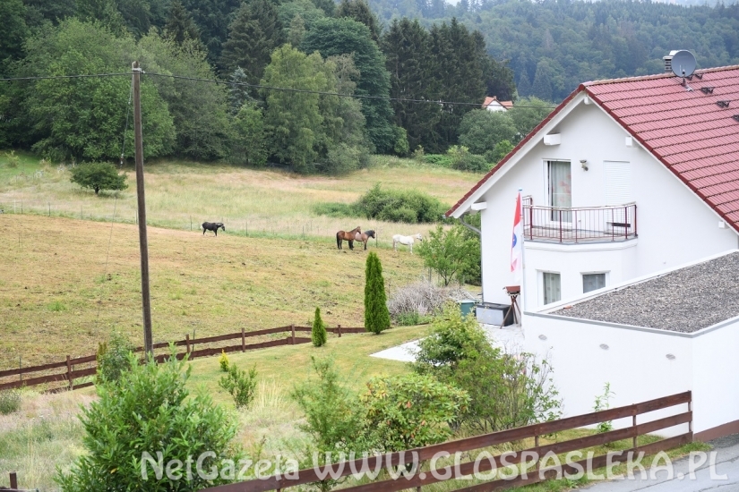 Pozdrowienia z gór Taunus