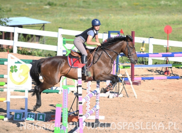Amazonki MKJ Nenia skakały w Pomorskiej Wsi