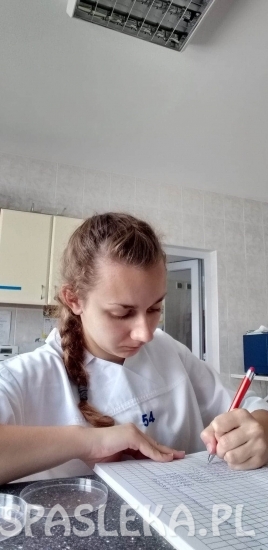 Staże zawodowe młodzieży z ZSEiT