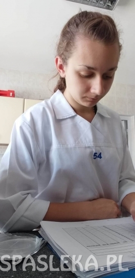 Staże zawodowe młodzieży z ZSEiT