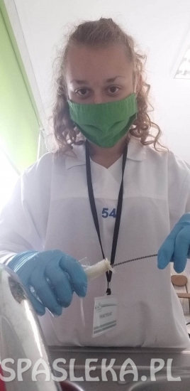 Staże zawodowe młodzieży z ZSEiT