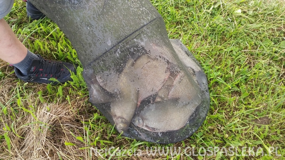 Zawody na Zakrzewku II