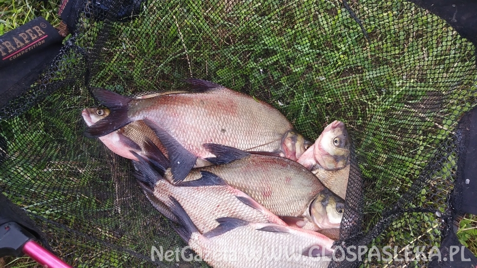 Zawody na Zakrzewku II