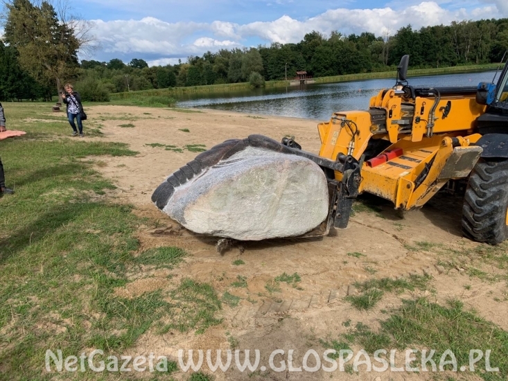 Kamienny rak pilnuje plaży