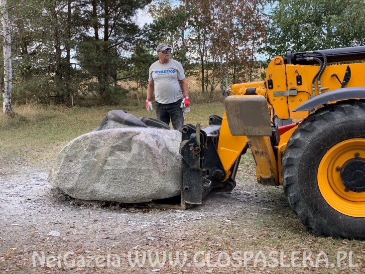 Kamienny rak pilnuje plaży
