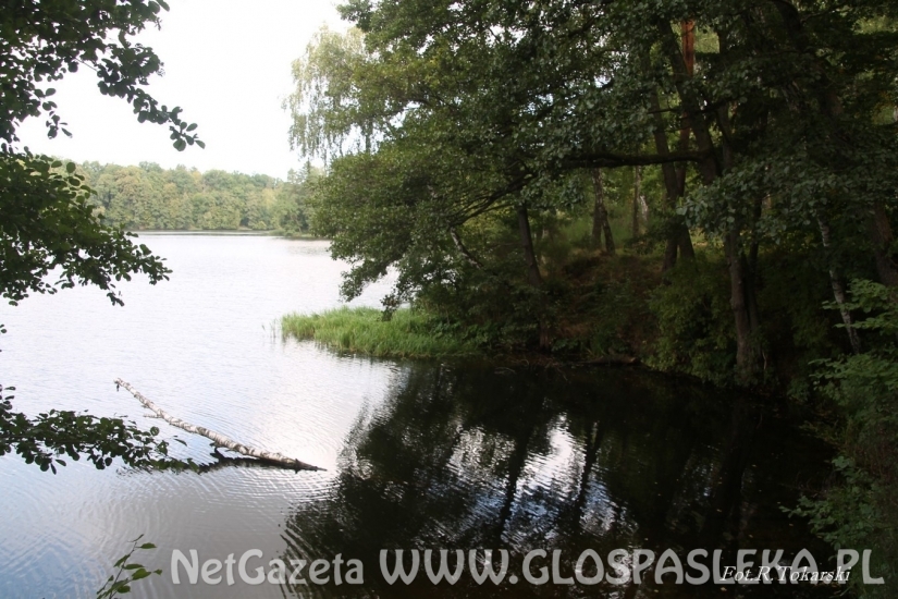 Mistrzostwa koła PZW na Pasłęce