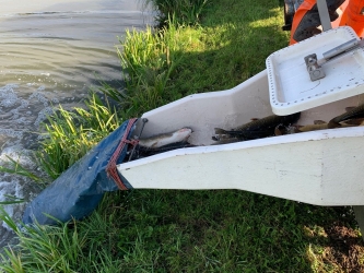 Zarybianie zakończone